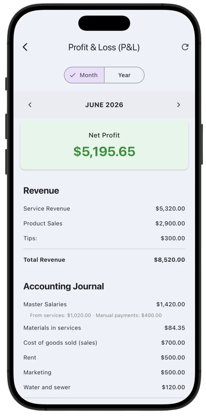 LedgerBoss profit and loss report with revenue, expenses, and net profit