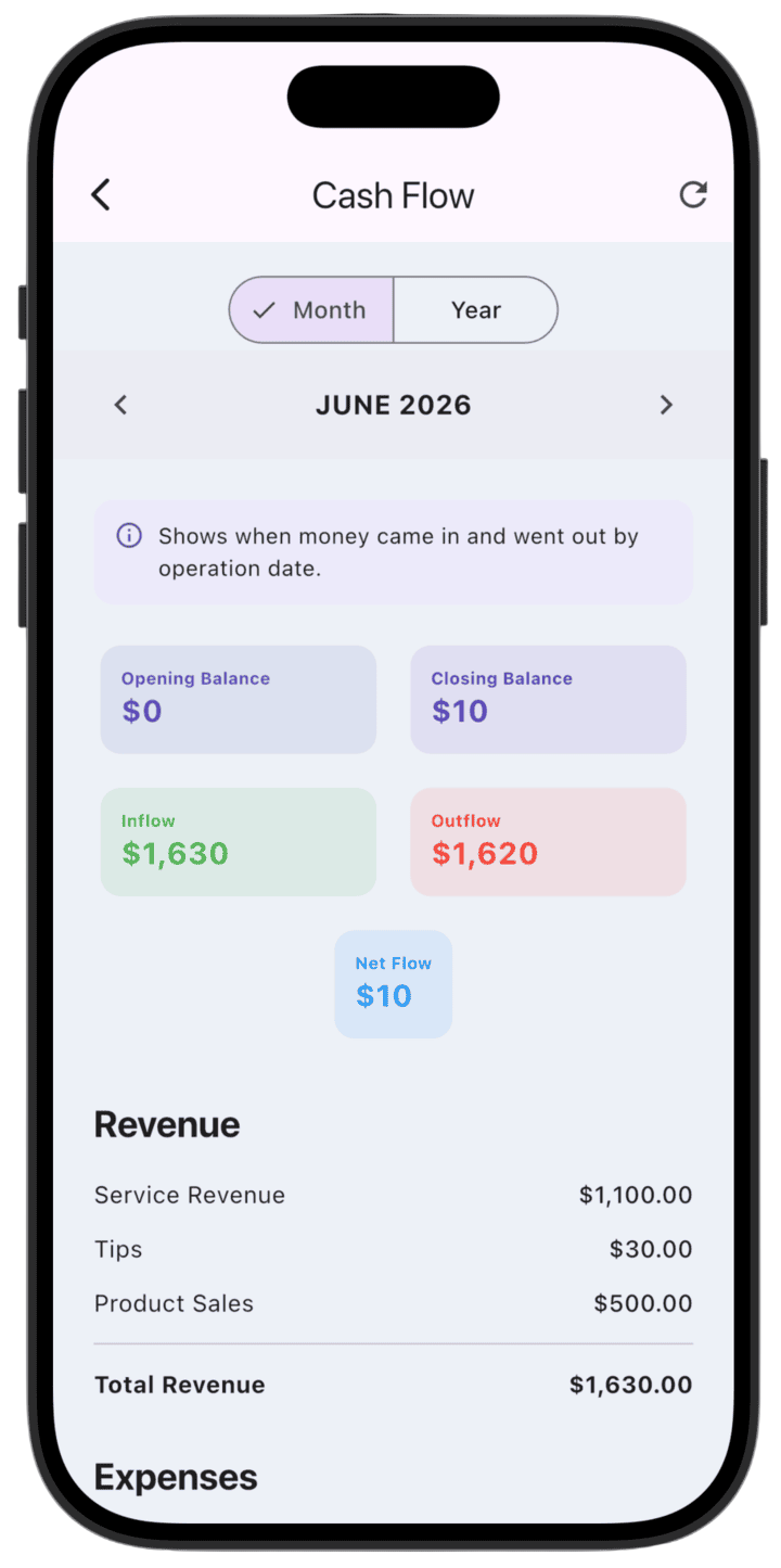 Screenshot: Cash Flow (2)