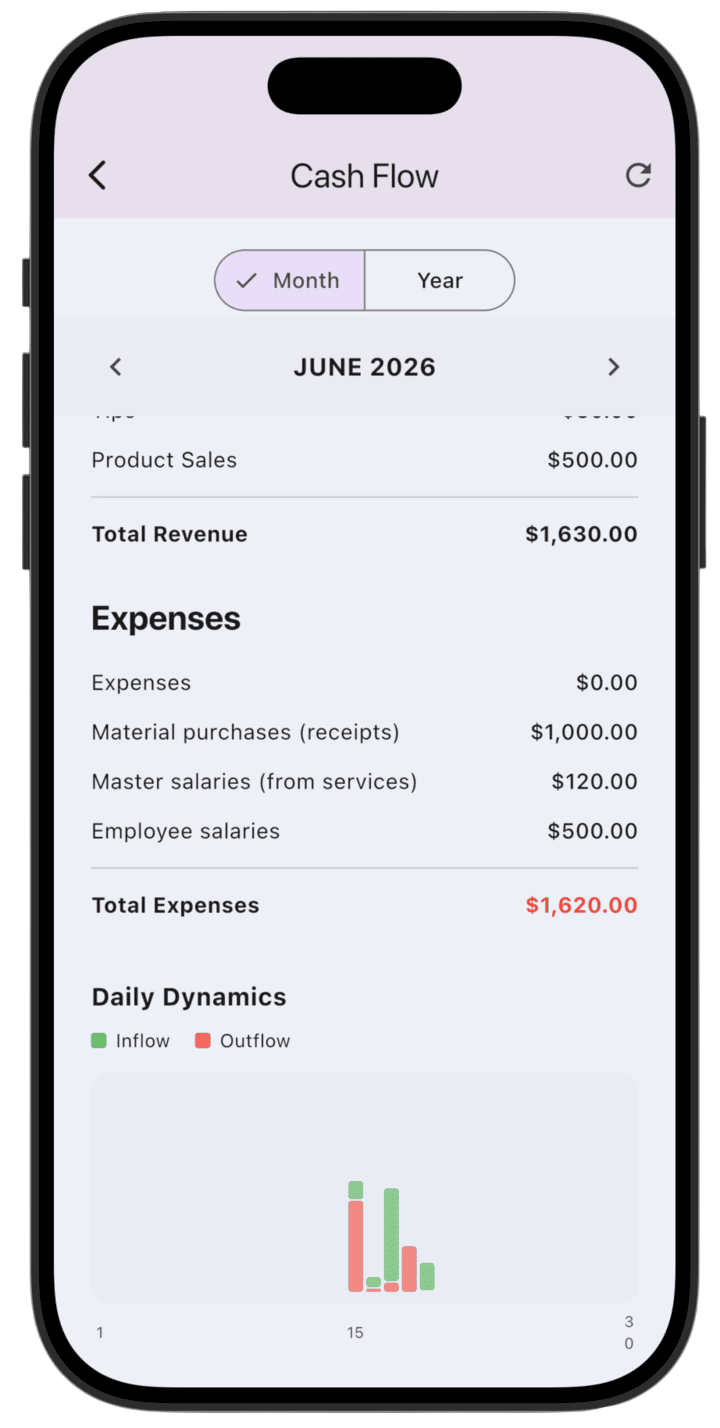 Screenshot: Cash Flow (3)