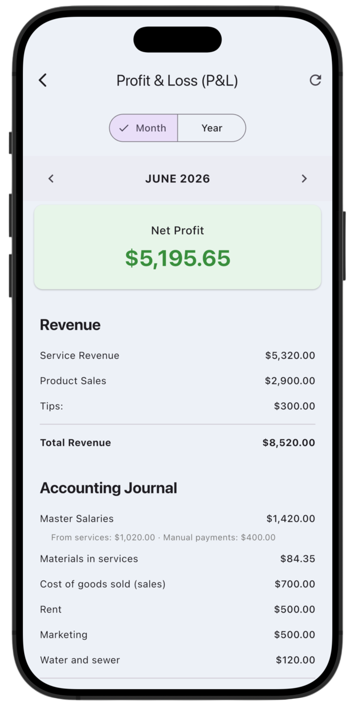 LedgerBoss profit and loss report with revenue, expenses, and net profit